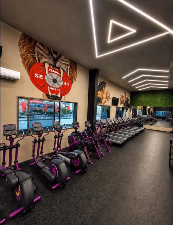 The cardio deck at Gymmagic with ellipticals, treadmills and the tiger mural